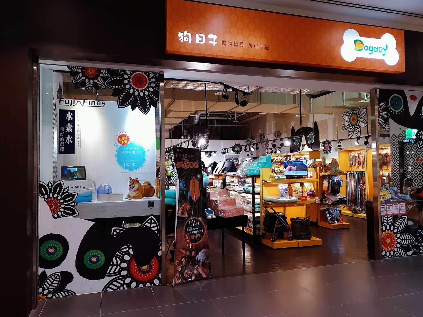 A brilliant debut – DogDay Pet Shop